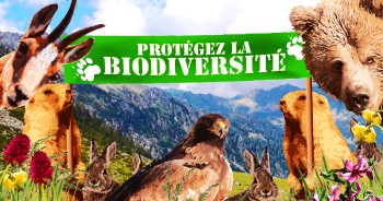 biodiversité et protection des espaces naturels
