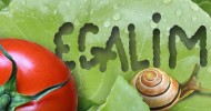 Egalim